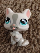 Littlest Pet Shop Gray White Cat #1472 Kitty LPS Toy Licking Paw Teal Eyes 2008 - £8.99 GBP