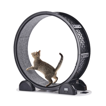 VEVOR Cat Exercise Wheel with Pedometer, 40.8“ Cat Running Wheel, Black - $134.99