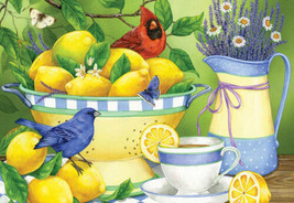 Framed canvas art print giclée spring birds cardinal lemons lavender - £14.21 GBP+