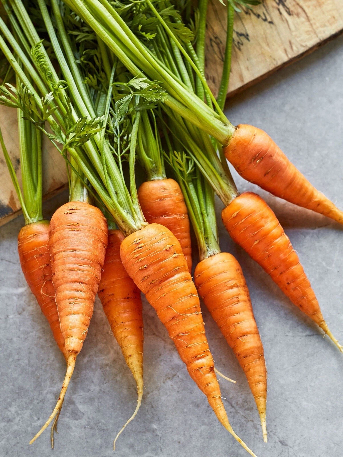 Danvers 126 Carrot, 200+ Seeds~NON-GMO~ Heirloom. First Class Carrot Sin... - $9.50