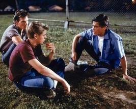 The outsiders Patrick Swayze C. Thomas Howell Rob Lowe sit on grass 8x10... - $9.75