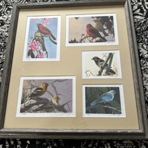 Mario Fernandez 5  Tanagers L/ED Signed &amp; Numbered 1986 Lithograph Prints Framed - £92.34 GBP