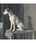 1927 Jack Russel Terrier Photograph - $14.85