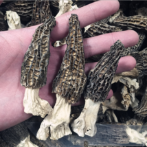Wild Morchella Whole Dried Mushrooms 1 kg (35.27 oz) - $889.00