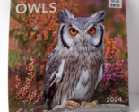 DAYSPRING  Owls Wall Calendar 2024 12&quot; X 24&quot; Includes 2025 Four-Month Ca... - £11.90 GBP