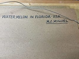 Item image 8