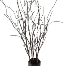 Feilix 5Pcs. Artificial Curly Willow Branches, Decorative Dry Twigs, 30.... - $38.96