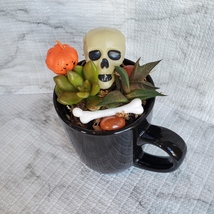 Halloween Planter with Live Succulents, Mug Garden, Skull Halloween fairy garden image 2
