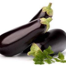 Fast Ship USA Seller Eggplant Florida Market Seeds - £4.32 GBP