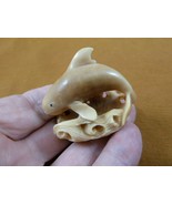 (tb-whal-45) baby Killer Whale Tagua NUT palm figurine Bali Orca whales - $106.66 CAD