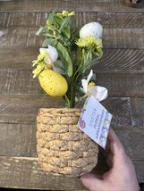 Meijer Easter Floral Arrangement  - $26.61