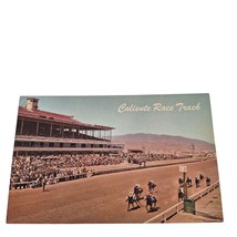 Postcard Caliente Race Track Tijuana Mexico Chrome Unposted - £8.22 GBP