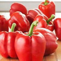Big Red Sweet Bell Pepper - Organic, Heirloom Seeds - Eat Them , Roast T... - $8.98