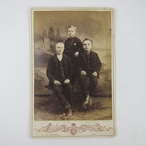 Cabinet Card Photograph 3 Boys Sit Portrait C.A. Schnell Troy Ohio Antique 1880s - £7.81 GBP