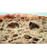 fresh very old history sourdough starter yeast from the WHARF in s.f. z - £6.93 GBP