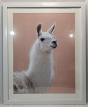 Llama Framed Wall Art - 26&quot; x 32&quot; - Framed Picture - Llama Decor - £59.94 GBP