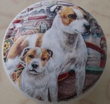 CABINET Knobs W/ American Staffordshire Terrier Family Bully Pitbull DOG - £4.28 GBP
