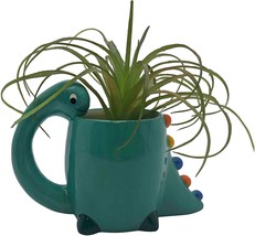 Dinosaur Ceramic Planter With A Modern Design. - £36.12 GBP