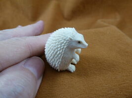 Hed-w4 little white Hedgehog shed moose ANTLER figurine Bali detailed ca... - $115.33