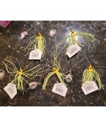 Lot 5 WAHOO Fishing Spinner Bait WAH-PC146-10 Color Yellow Chartreuse Sk... - $569.25 MXN