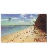 Florida Postcard St Petersburg Pass-A-Grille Beach - £2.32 GBP