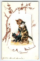 Standing Mother Cat Walks and Holds Baby Kittens Postcard 1907 Undivided Back - £13.91 GBP