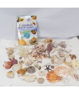 Natural Sea Shells Lot Sea Horse Clam Collector&#39;s Estate  4 lbs - $22.84 CAD