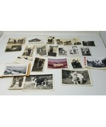 Photographs Grizzly Bear Paul Bunyan Travel Dogs Iowa Vintage 1950s Snap... - $18.95