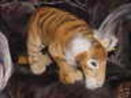 18&quot; Steiff Schadah Tiger 2006 New Mint With Tags 066306 - £116.36 GBP