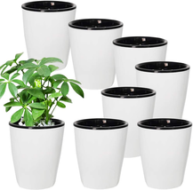 OJYUDD 8 Pack 4 Inch Self Watering Plastic Planter with Inner Pot White Flower P - £15.04 GBP