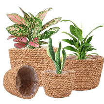 Storage Basket Plant Flower Pot Straw Seaweed Weaving Mechanism Amazon S... - €6,34 EUR+