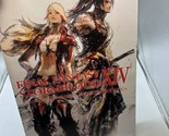 Final Fantasy Stormblood XIV Art The Revolution Western Memories - $42.56