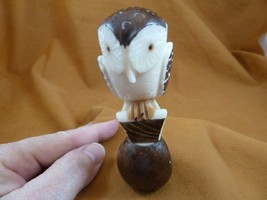 (TNE-BIR-OW-310B) Barn OWL TAGUA NUT nuts palm tree Figurine carving I l... - £20.75 GBP