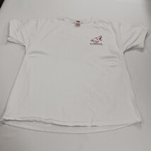 Fruit Of The Loom Phoenix Coyotes Men's White Cotton Graphic T-Shirt Size XL image 12