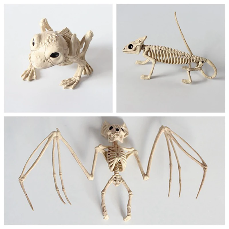 Plastic Animal Skull Skeleton Ornaments, Halloween Horror Decorations, Scorpion - £17.57 GBP+