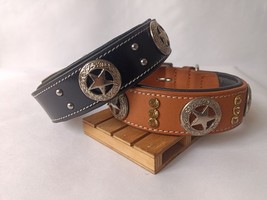 Shwaan genuine leather dog collar,Neck Size M 13&quot;- 17&quot; with  free  leather Leash - £35.99 GBP