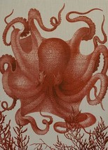 Wall Art Print 19th C Octopus III 47x65 65x47 Coral Pink Linen Unframed - £576.13 GBP