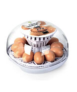 12 Eggs Incubator for Hatching Eggs with Automatic Egg Turner, Temperatu... - $42.12 CAD