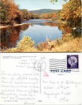 New York Lake Placid Ausable River Adirondacks Posted to OH in 1959 VTG Postcard - £7.40 GBP