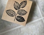 Fred B.Mullet Large Salal Branch Rubber Vintage Stamp 4&quot;x3.5&quot; Detailed 090 - $15.88