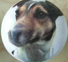 Cabinet Knobs w/ JACK RUSSELL TERRIER #6 DOG smooth - £4.09 GBP