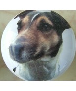 Cabinet Knobs w/ JACK RUSSELL TERRIER #6 DOG smooth - £4.09 GBP