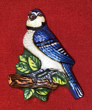 Vintage Eastern Bluebird Refrigerator Magnet Bird Lover Fridge - £7.58 GBP