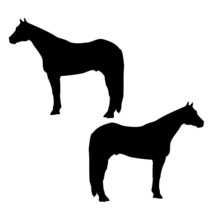 2X Reflective Decal Sticker Quarter Horse, tack box Truck 4h Trailer Mailbox B - £12.58 GBP