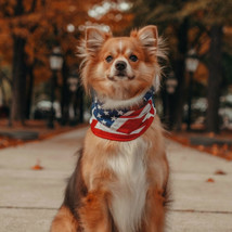 Dog Neck Gaiter, Tubular Dog Bandana, Dog Ear Protection American Flag 2... - $12.19