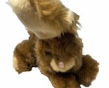 Dandee Collectors Choice Brown Long Haired Bunny Rabbit Plush Stuffed An... - $12.90