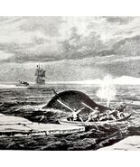 Attaching Whale With Harpoon 1926 Nautical Antique Print Whale Hunting D... - $35.02 CAD