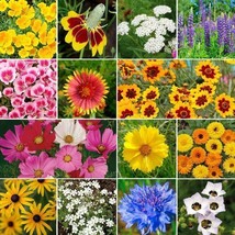 Best BIRD &amp; BUTTERFLY Flower Garden Seed Mix Heirloom Pollinators 500+ Seeds - £3.75 GBP