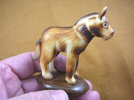(TNE-BUR-454A) Burro Donkey Mule TAGUA NUT Figurine VEGETABLE burros - $30.64