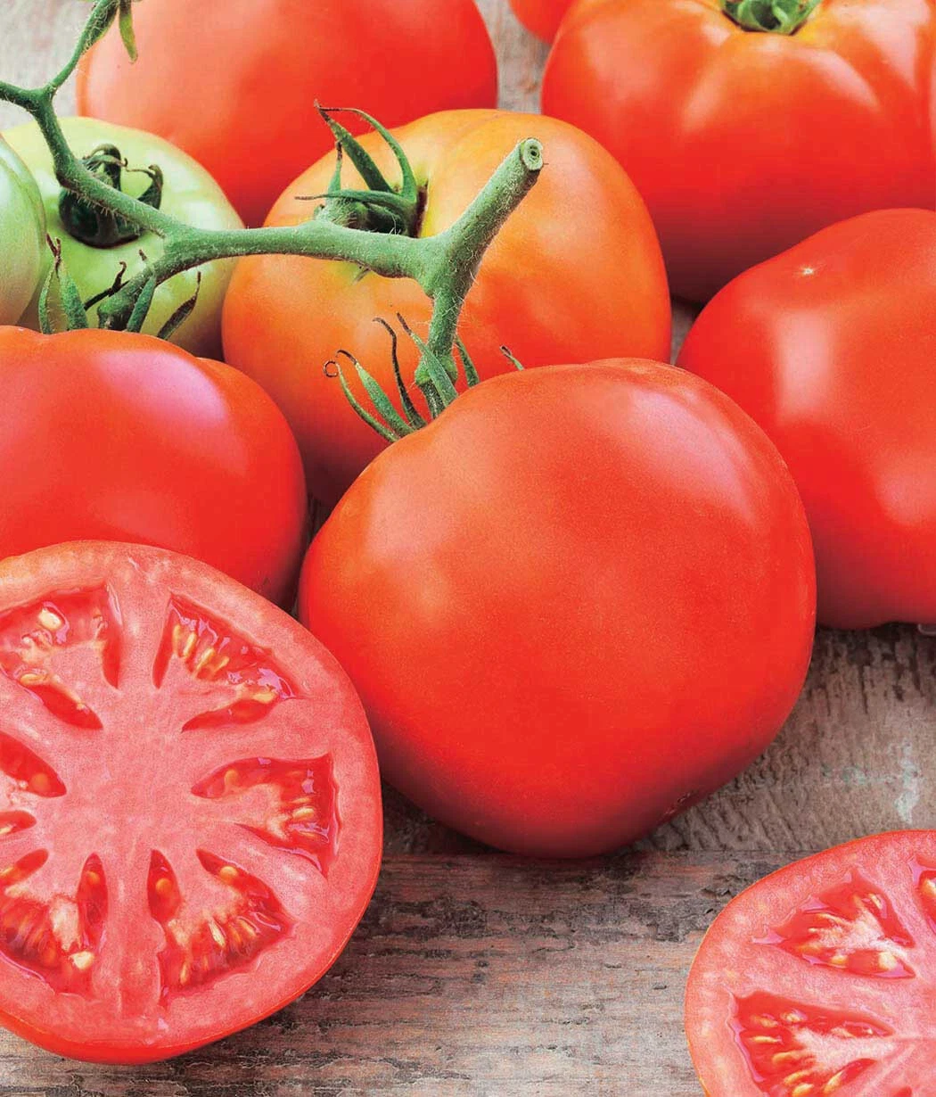 50 Seeds Pinkalicious Tomato Vegetable Fast US Shipping - $975.00